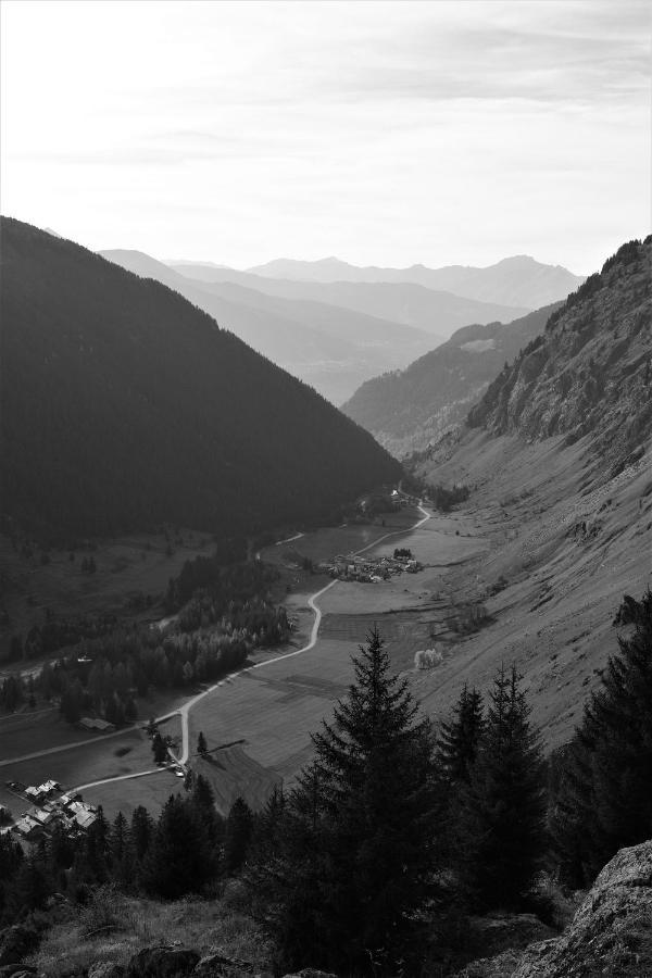 La Maizon Du Bois - Le Haut Appartement De 130 M2 - Le Bas Appartement De 70 M2 La Plagne Bagian luar foto